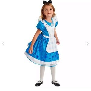 Disney Alice and wonderland costume